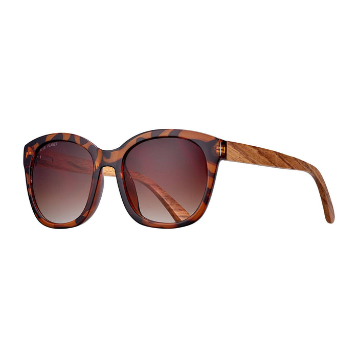 Aldin - Brown Tortoise / Walnut Wood / Brown Polarized