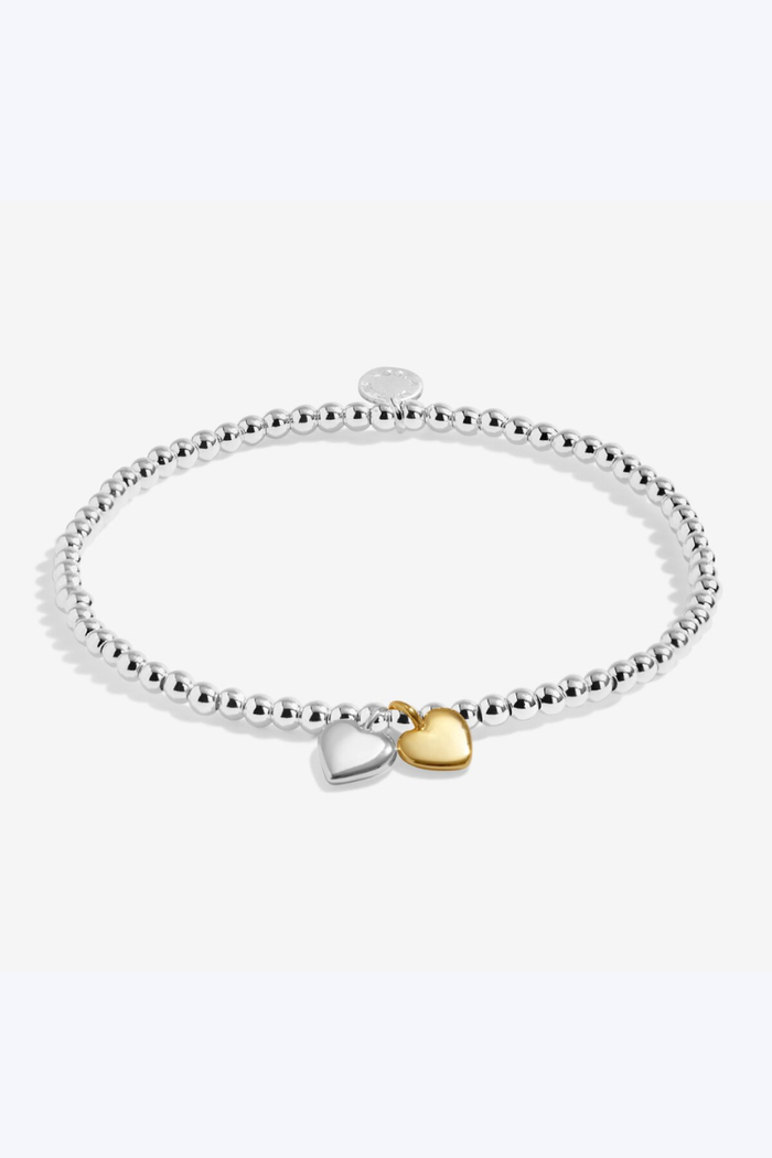 Double Heart Anklet
