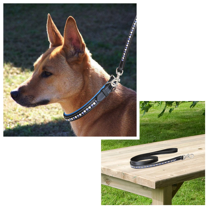 ExionPro White & Blue Bling Dog Collar With Leash