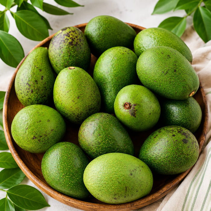 Avocado (Kenya) (1 piece) - Tayyib Store - Tayyib Foods - Lahore
