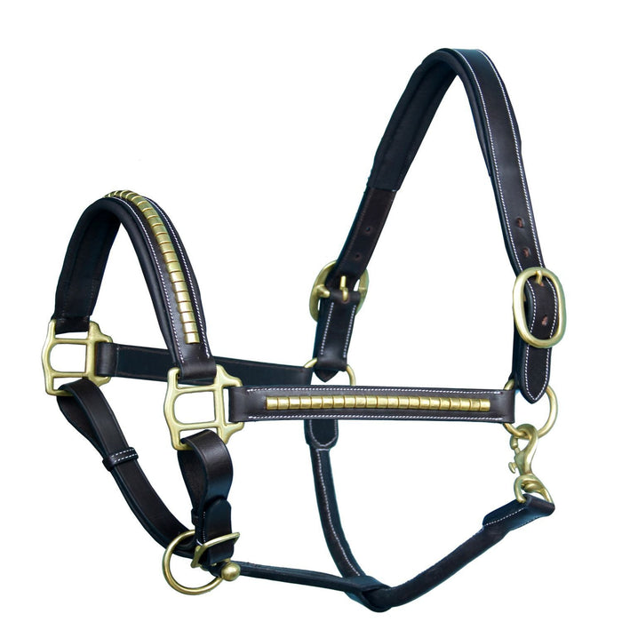 ExionPro Clincher Halter - Brass Hardware