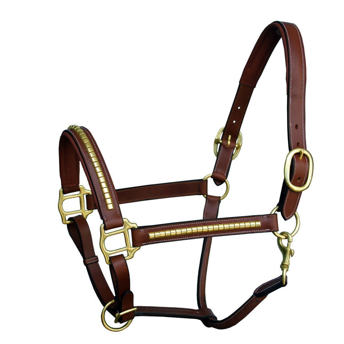ExionPro Clincher Halter - Brass Hardware