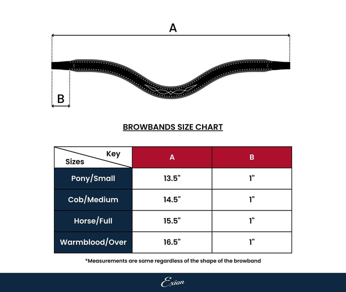ExionPro Designer Spiral White Pearl Crystal Browband