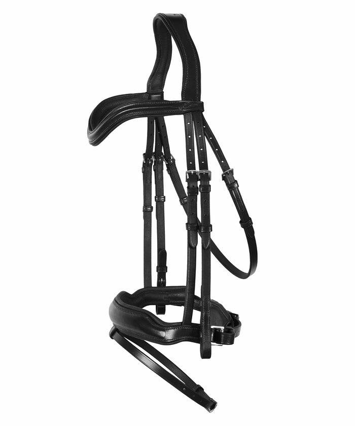 ExionPro 'Leo' Classic Dressage Bridle with Reins
