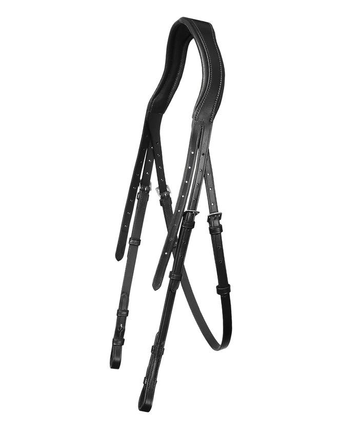 ExionPro 'Leo' Classic Dressage Bridle with Reins