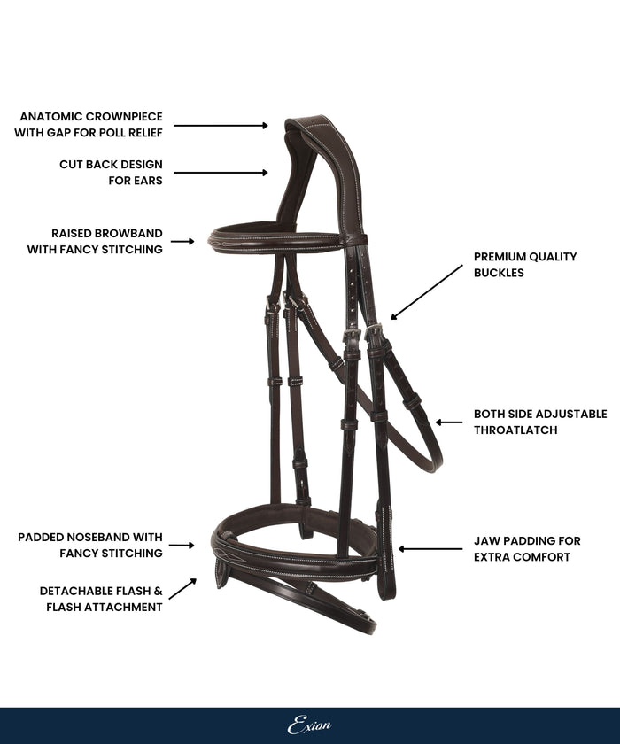 ExionPro 'Phoenix' Convertible Jumping Bridle with Removable Flash & Reins