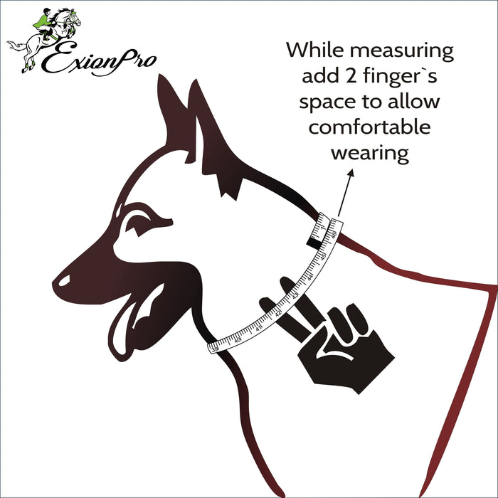 ExionPro White & Blue Bling Dog Collar With Leash