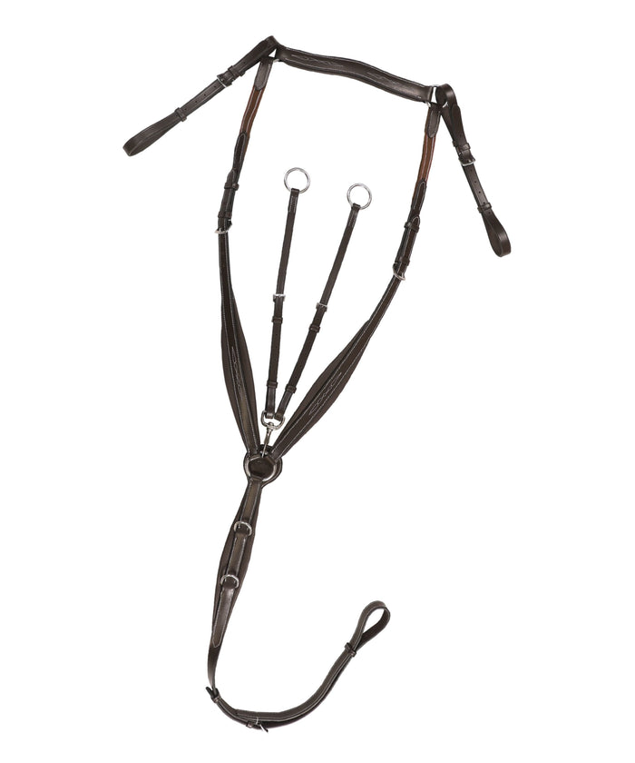 ExionPro Wings Breastplate
