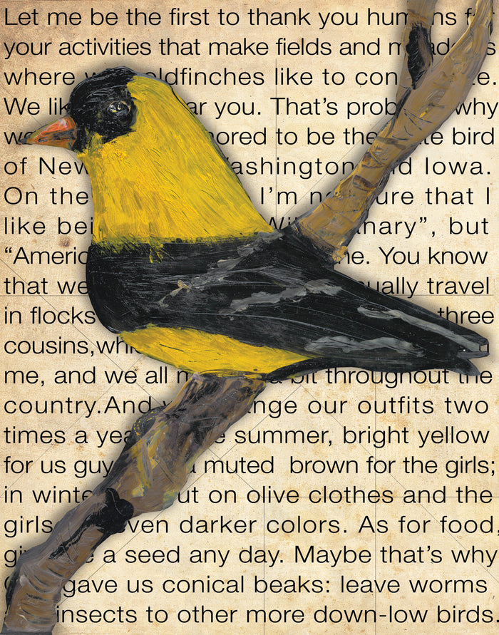 Gallery Grand - Birds Talk! Series - Goldfinch