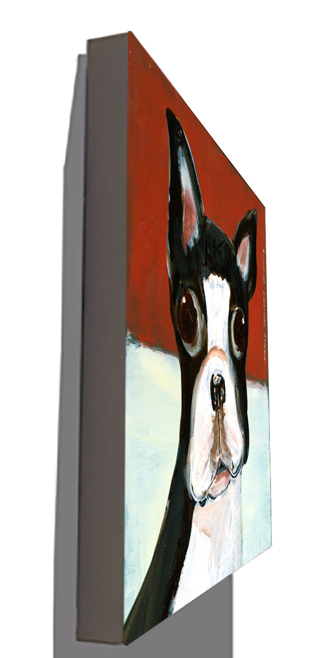 Gallery Grand - Dog Face - Boston Terrier