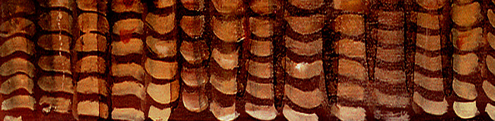 GALLERY GRAND - LONG MAY SHE WAVE