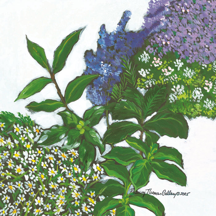 NANCY THOMAS PILLOWS - Herbs
