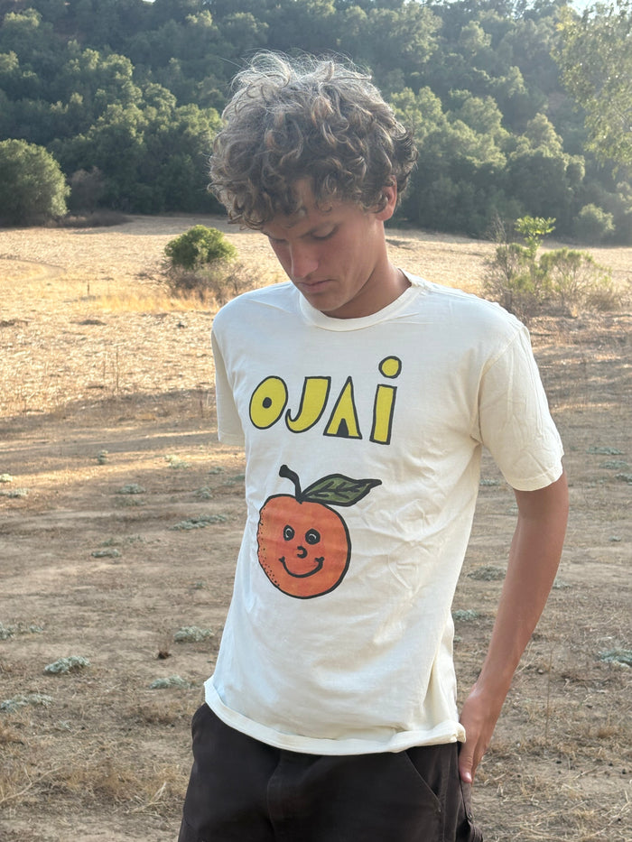 Ojai Orange Happy Face