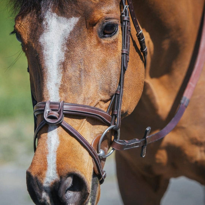Replacement Noseband of ExionPro Fully Padded Snaffle Bridle with U Shaped Detachable Flash