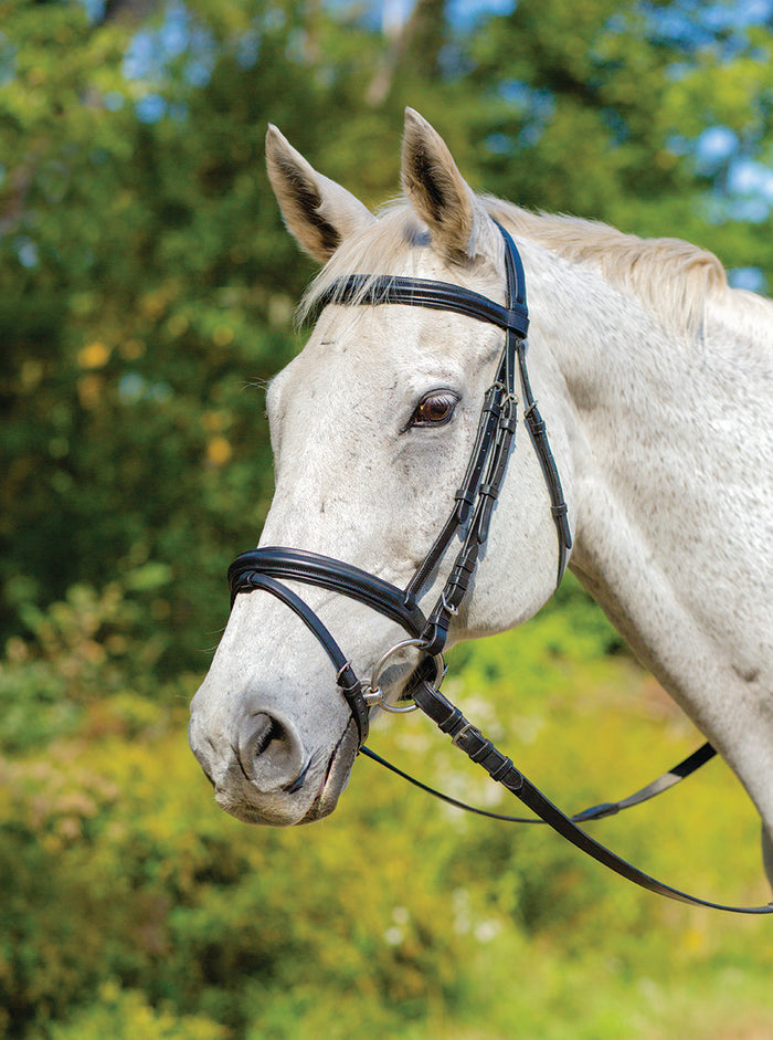 Shires Avignon Louisville Bridle