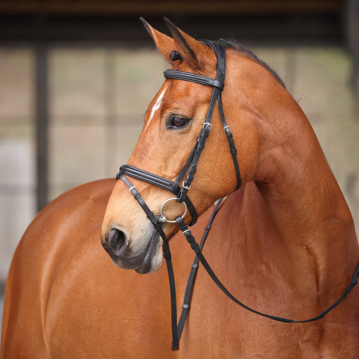 Shires Avignon Louisville Bridle