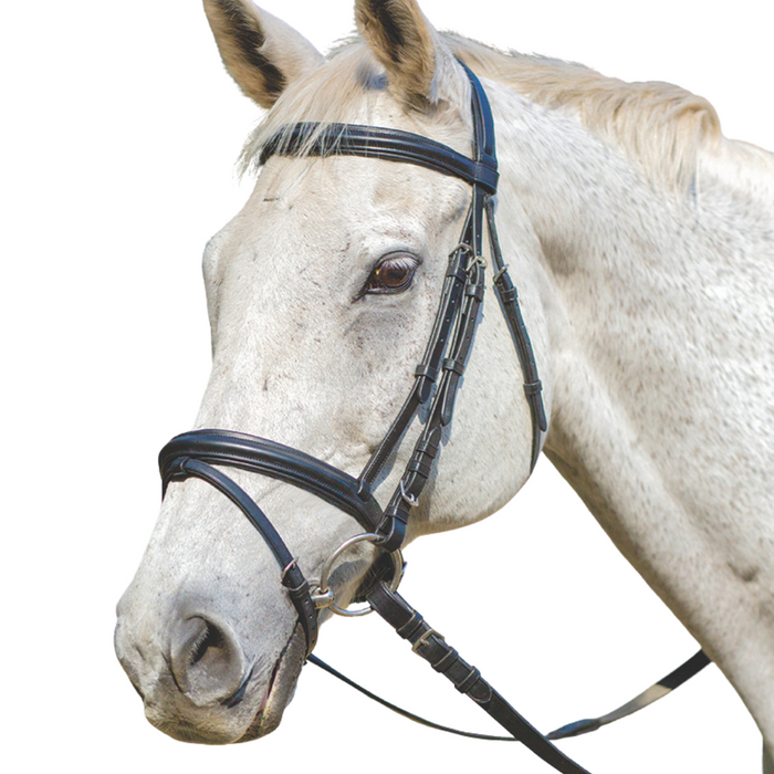 Shires Avignon Louisville Bridle