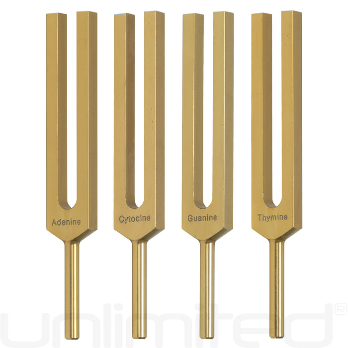 Unlimited DNA Nucleotides Tuning Fork Set