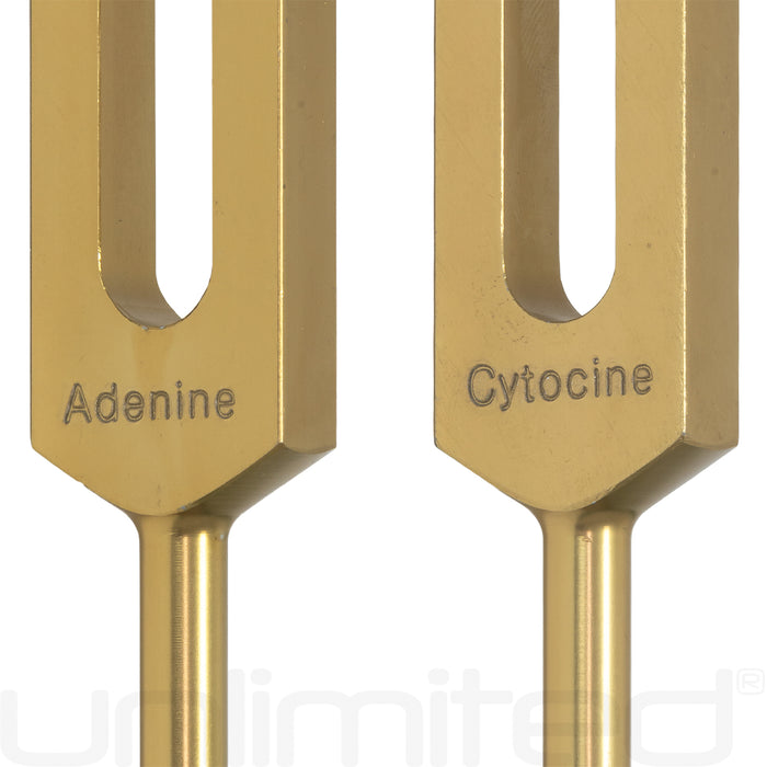 Unlimited DNA Nucleotides Tuning Fork Set