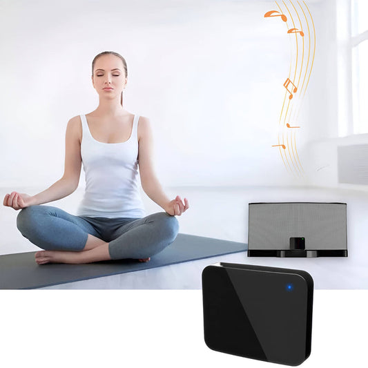 Wireless Audio Transmitter And Receiver System